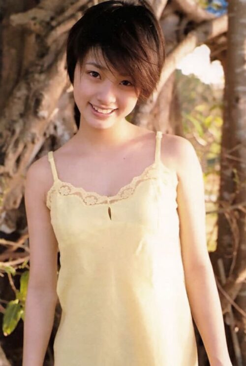 上戸彩ヌード画像