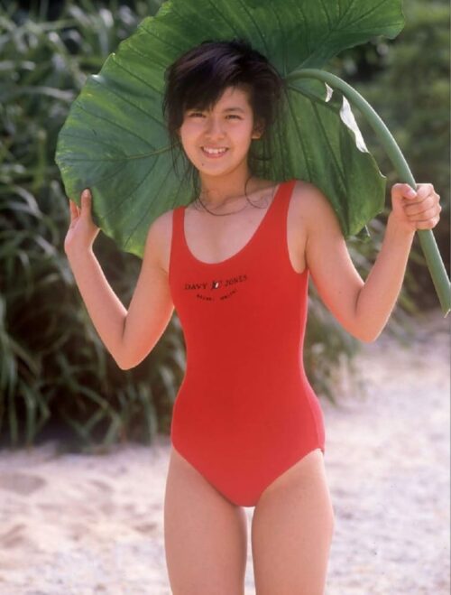 南野陽子 水着画像
